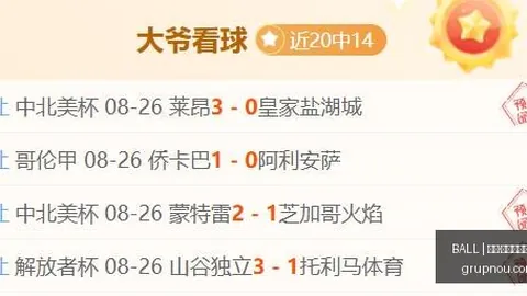 巴西甲赛事前瞻：弗拉门戈对决米拉索，实时比分解析